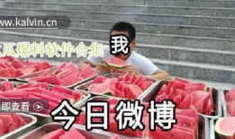 最新吃瓜爆料合集视频,揭秘娱乐圈幕后真相