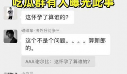吃瓜爆料群聊天记录图片,聊天记录曝光背后的惊人真相