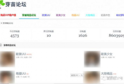 成人网站视频,激情瞬间与道德边界